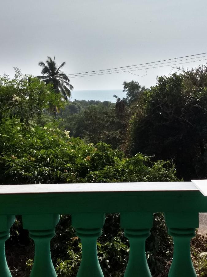 Agonda Green House Bagian luar foto